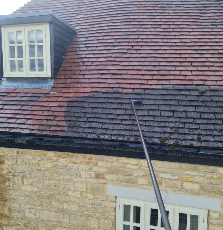 Roof cleaning