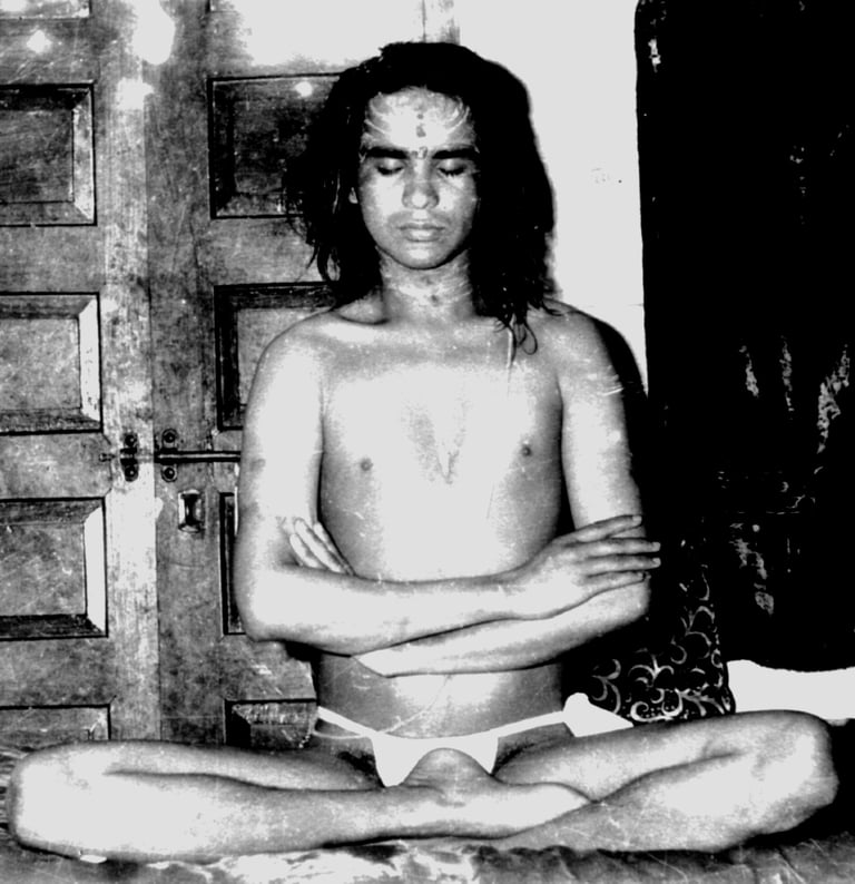 Shri Babaji medita