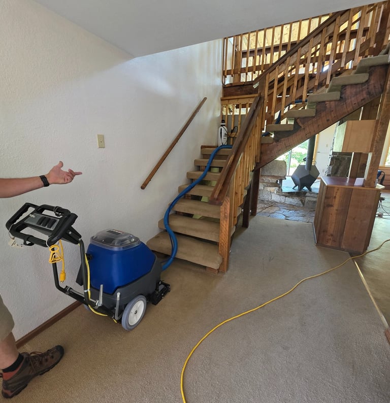 professional carpet cleaning and carpet stain removal services in lewis and clark county