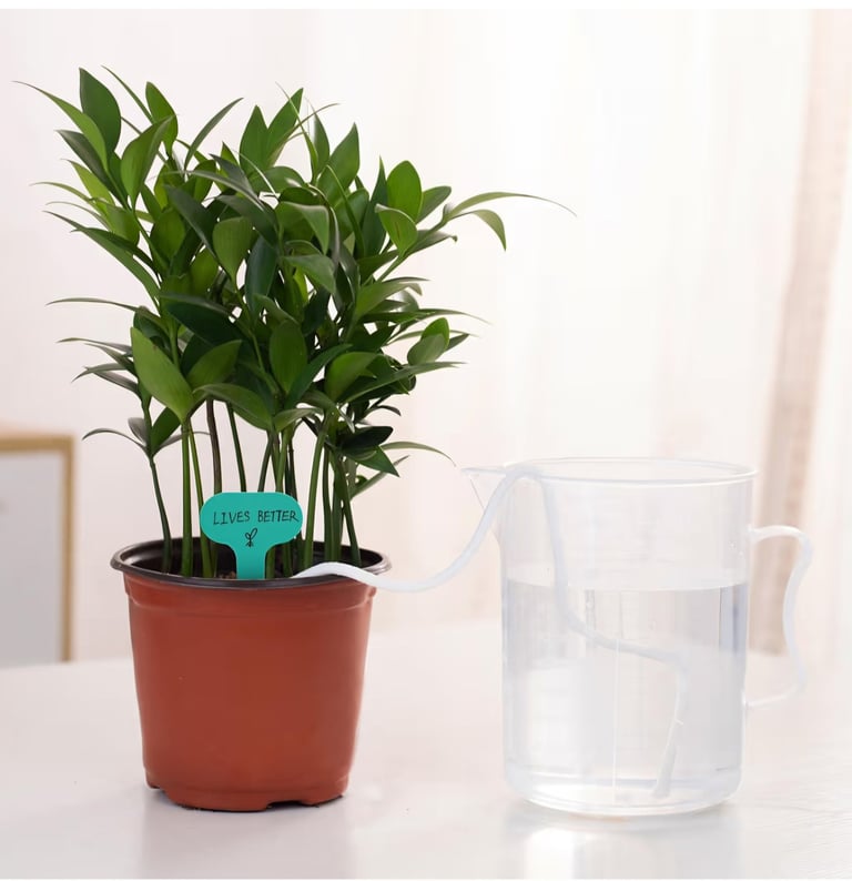 self watering wick for LECA setup drawing water from reservoir to maintain consistent moisture