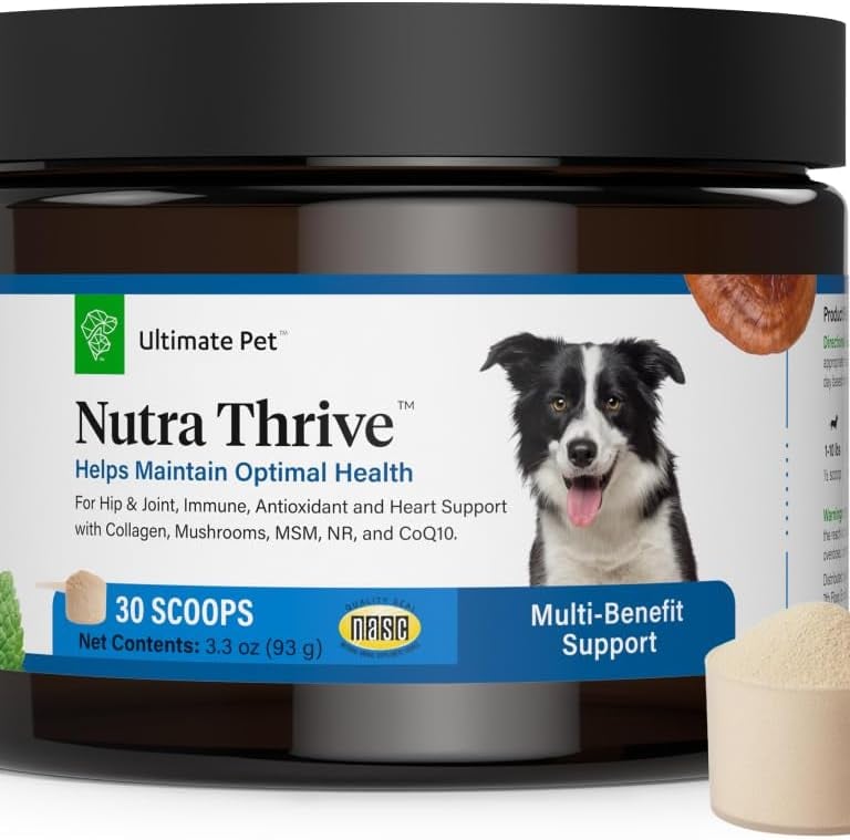 Ultimate Pet Nutra Thrive dog supplement jar with powder scoop for hip, joint, and immune support.