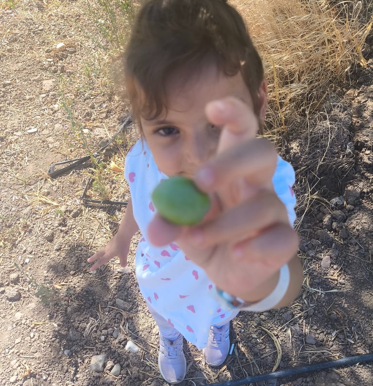 a little girl holding a green apple in her hand
