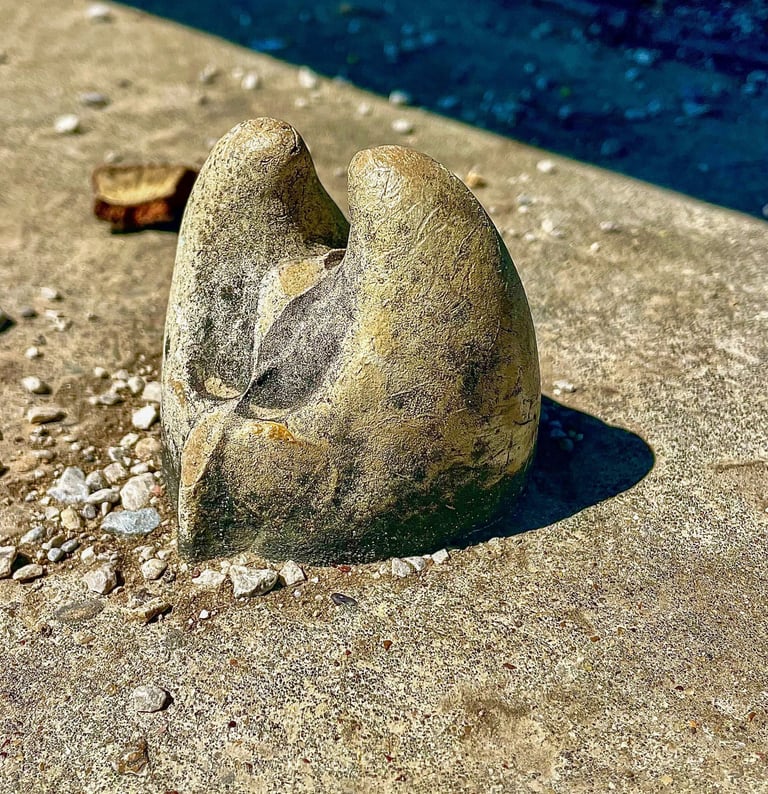 A weathered stone sculpture resembling a smooth tooth or bone sits on a concrete surface outdoors.
