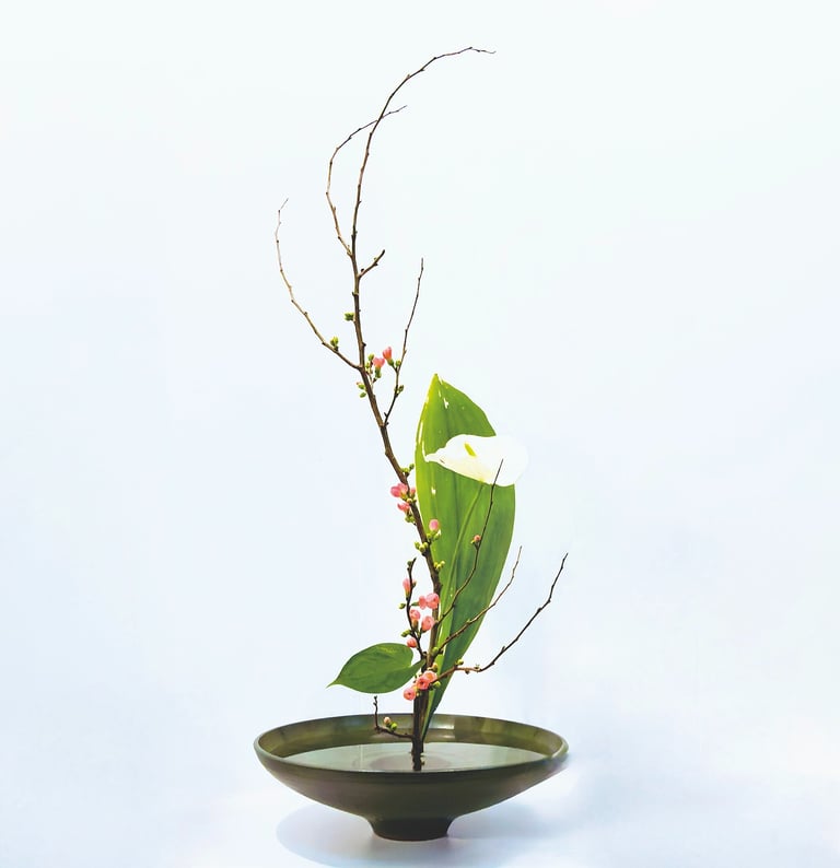 valerie fontanier - ikenobo