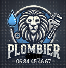 APAMS PLOMBERIE 24/24 LYON 69007 URGENCE PLOMBIER