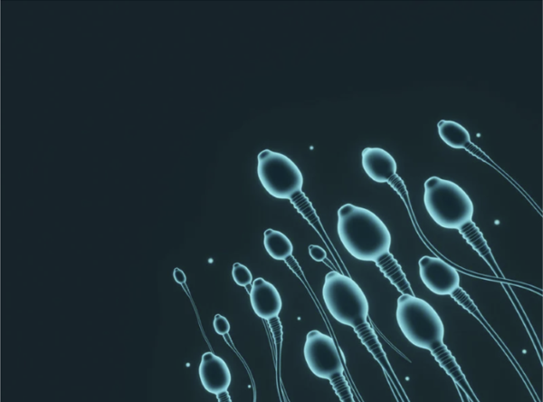 Blue microscopic illustration of human sperm cells swimming to represent male fertility and reproductive health.