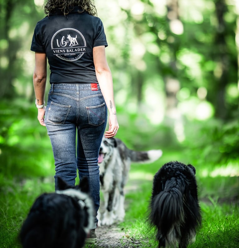 Promeneuse canin pour Viens Balader mon chien