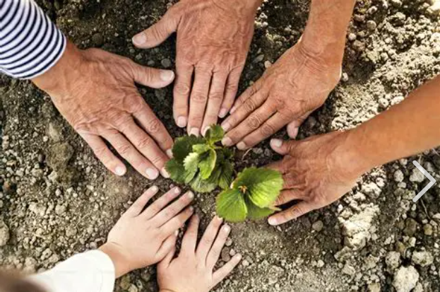 Hands in the community working together to foster life and growth.