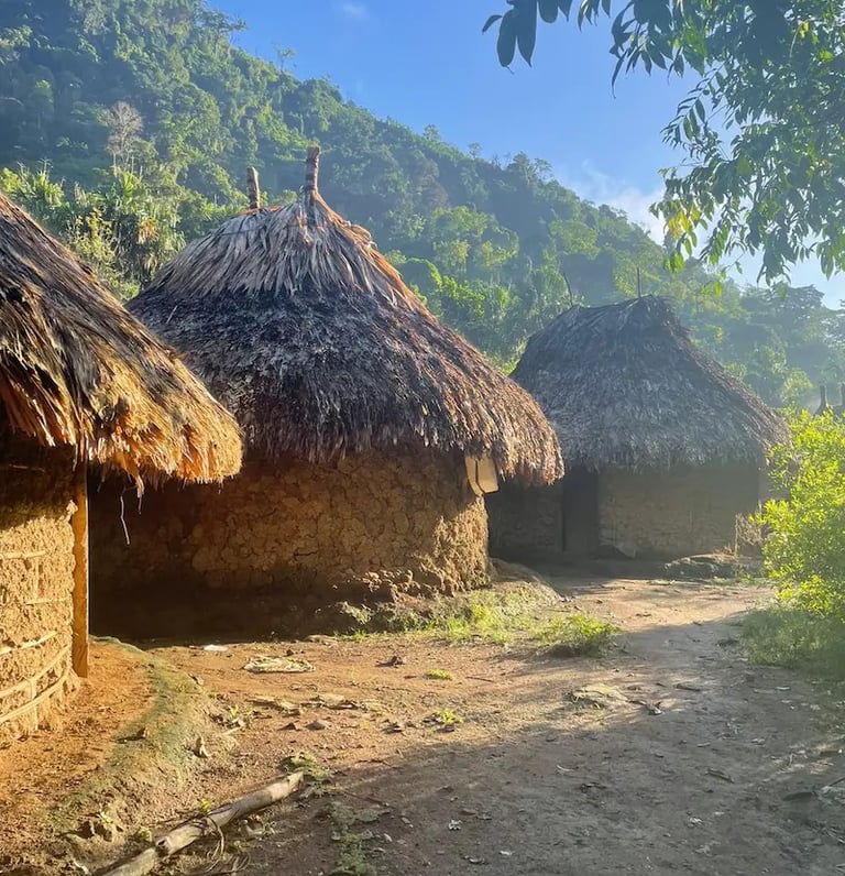 Traditional indigenous thatched-roof mud huts in a village in the Sierra Nevada de Santa Marta mountains.