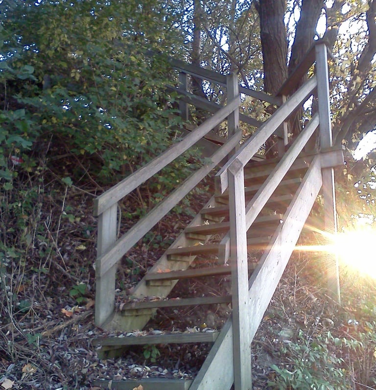 Stairs to Lake Erie