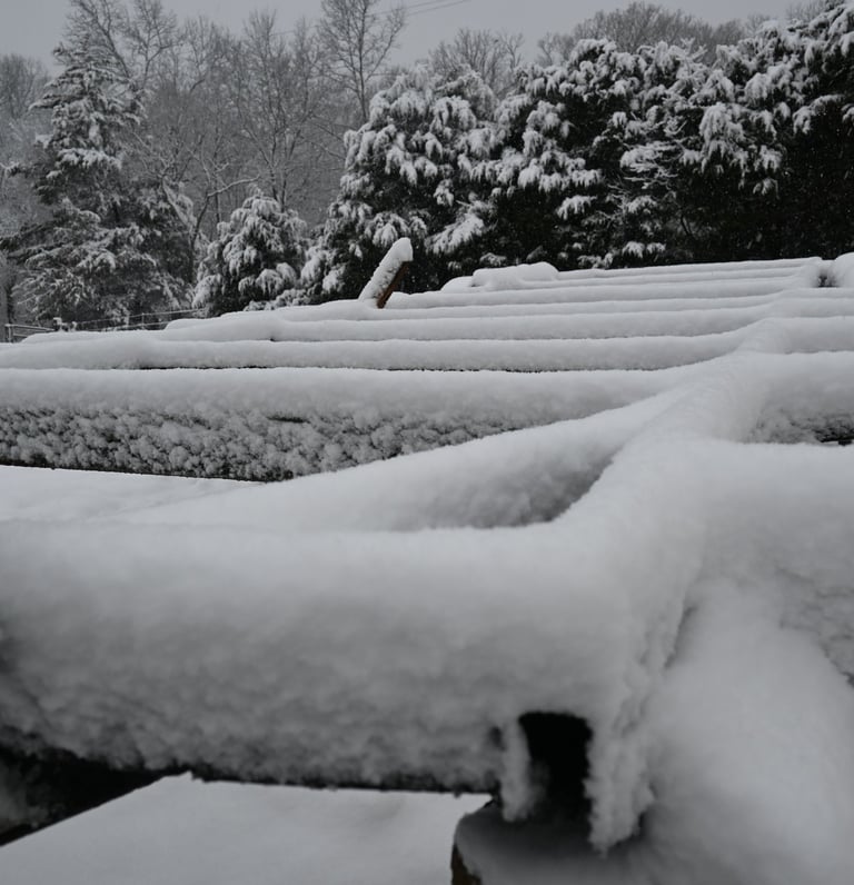 Airstream Trailer frame covered in snow in front of snow covered tree line