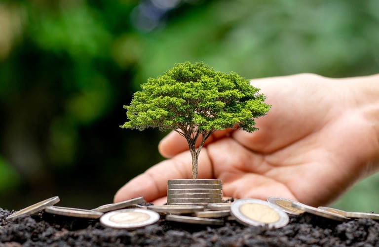A hand scoping up a small money tree