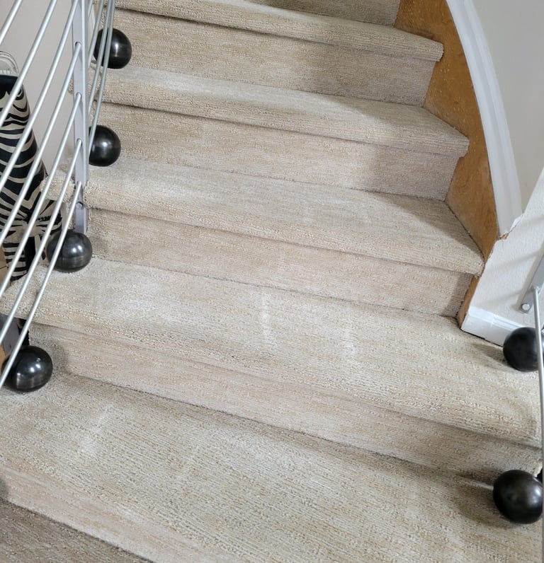 Pet Odor Free, Spot Free, Chemical Free, Non toxic, Organic Carpet Cleaning in Monument, Colorado