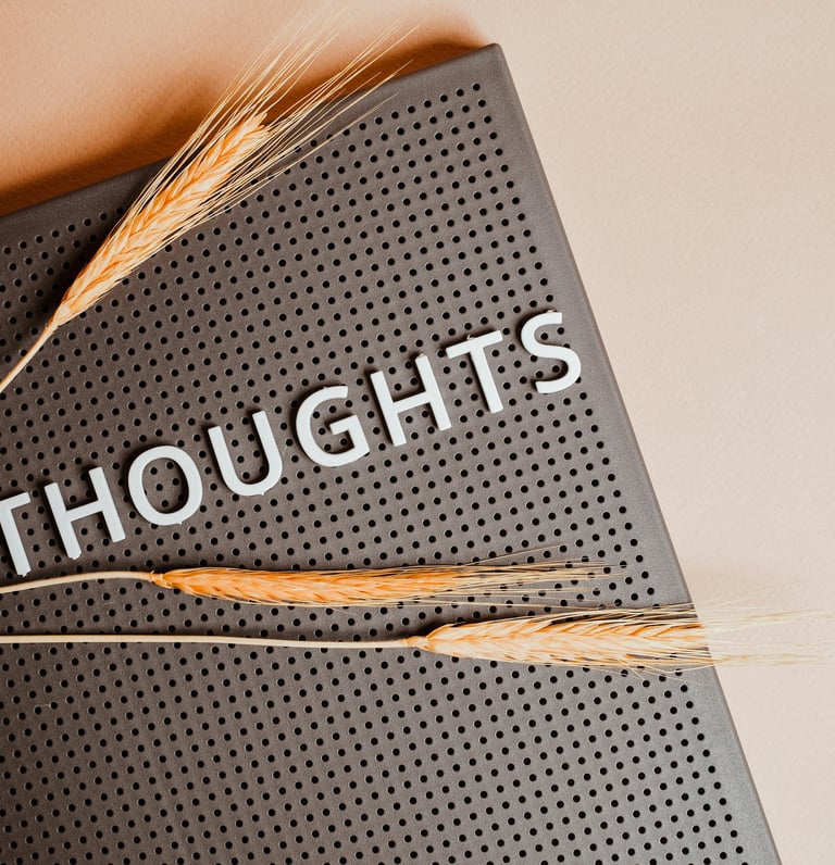 final thoughts