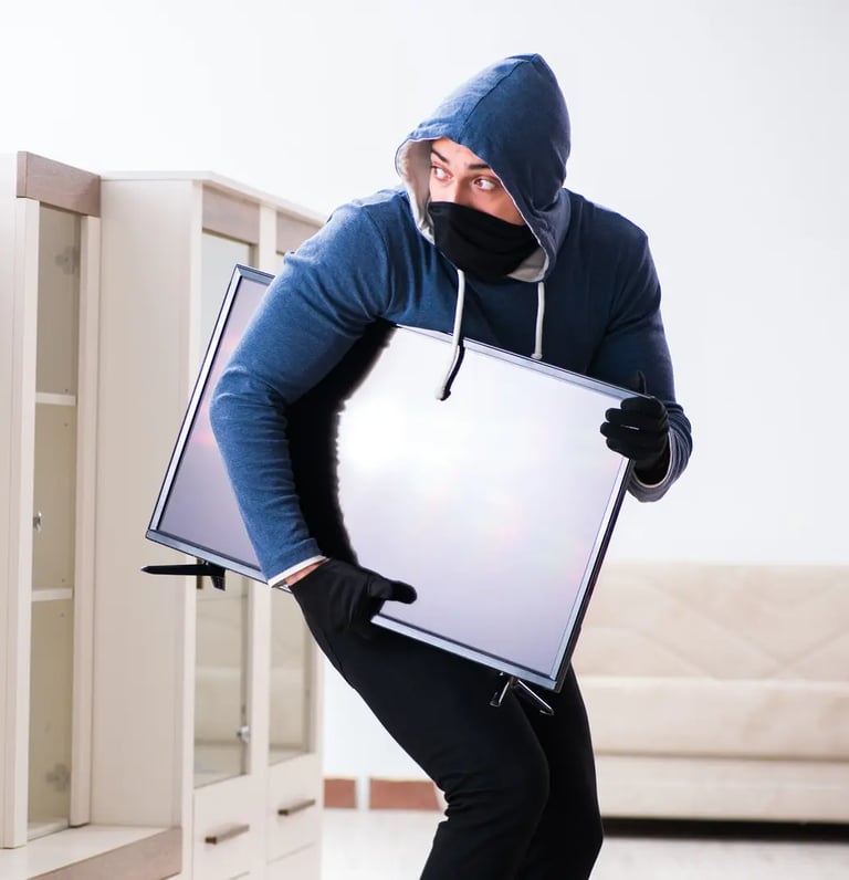 A thief stealing a TV in a house and carrying it away