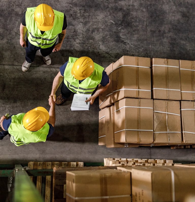IMPORTATION at lapenica