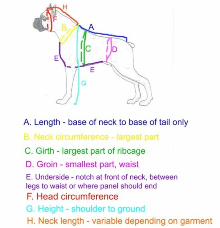 Diagram showing how to measure a dog for clothing with a size chart for length, girth, and neck circumference.