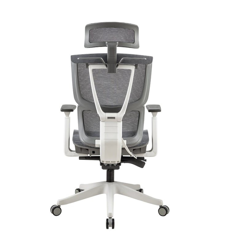 ergomesh v2 the best ergonomic chair in Pakistan