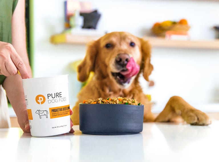Fresh dog food