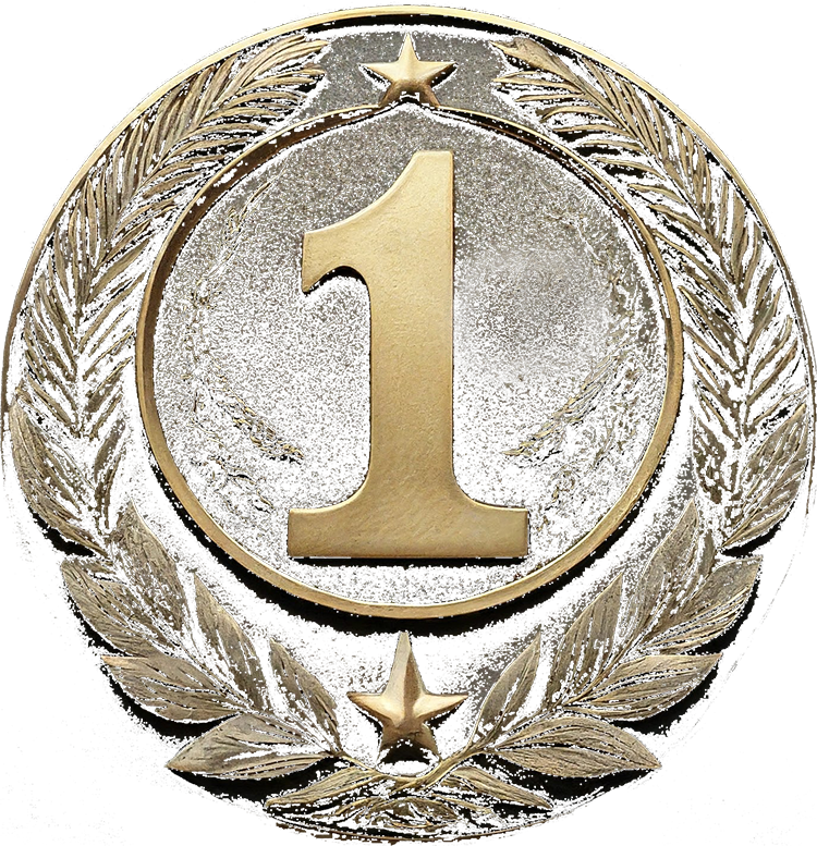 a gold medal medal with a star on it