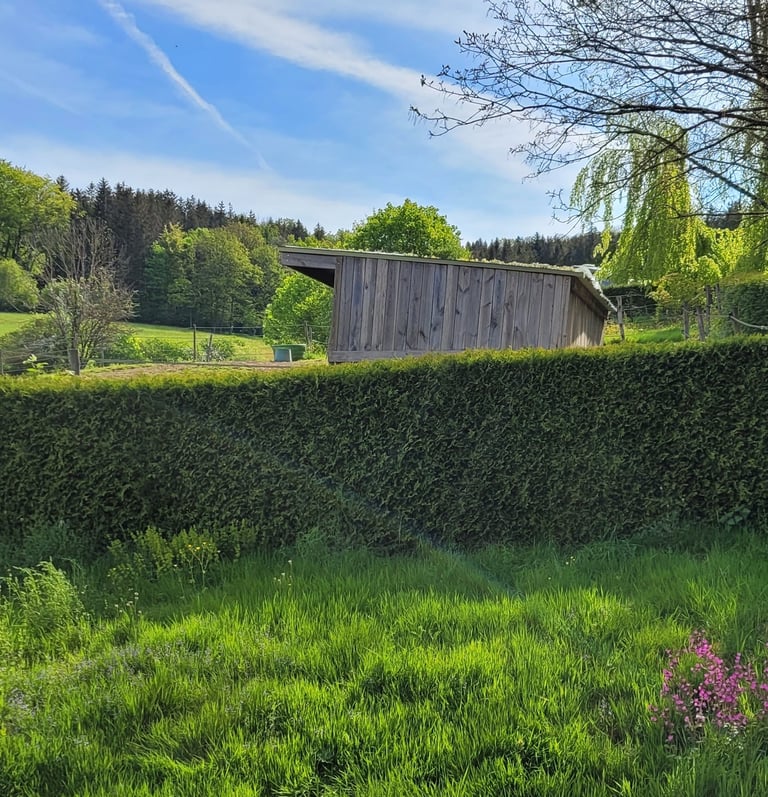 Vosges paysage