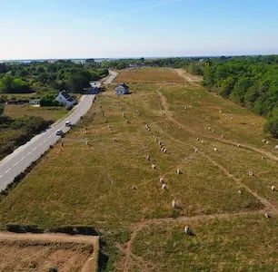 Ty Bayon - Les lieux à visiter - Mégalithes et sites préhistoriques : Carnac