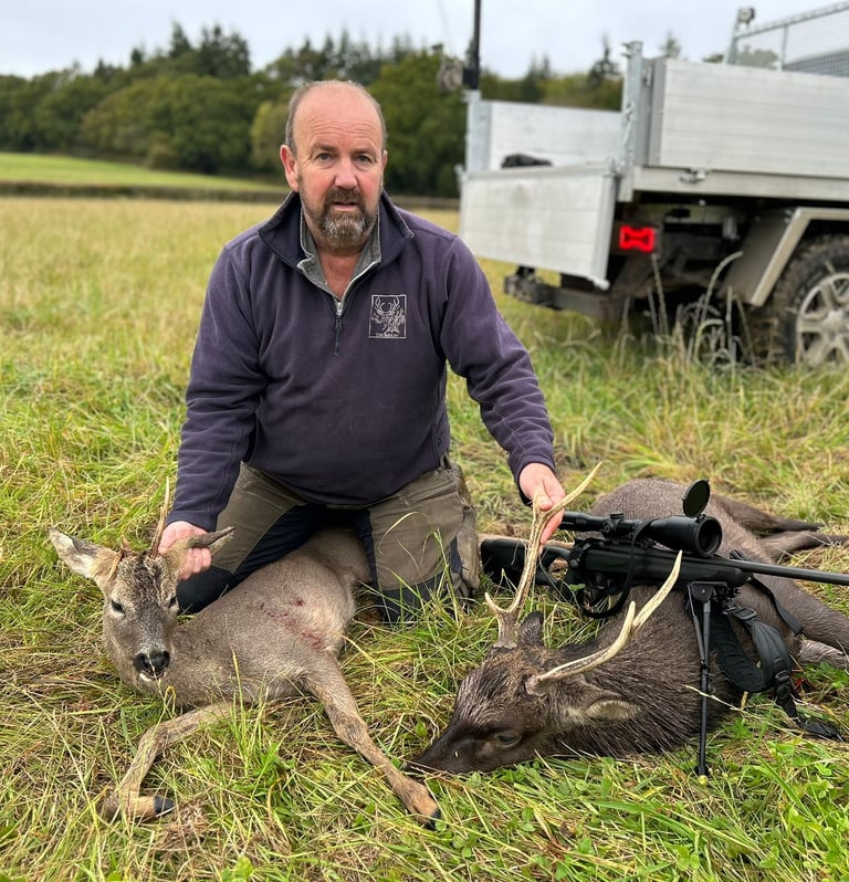 two deer freshly culled