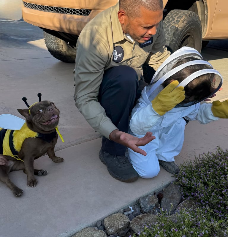 Eco-friendly pest control services safe for families, pets and residential properties.