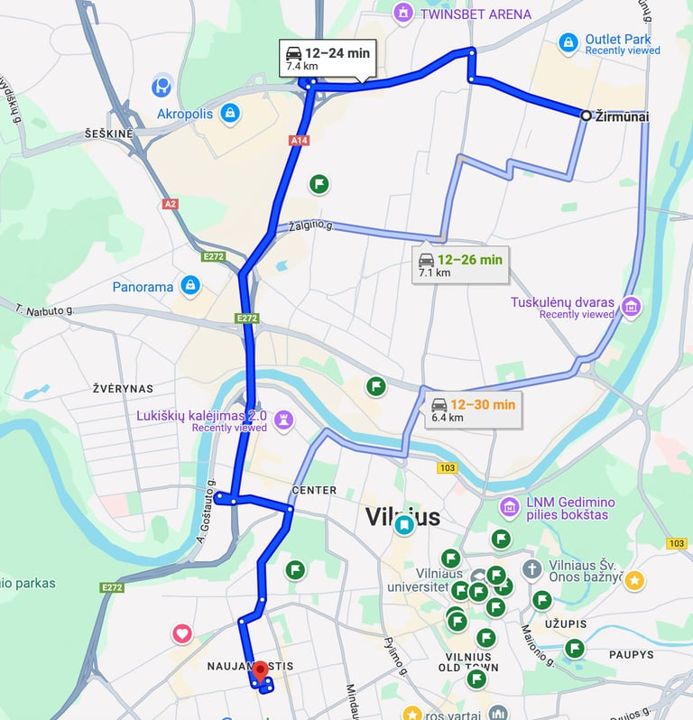 Verslo fotosesija zirmunuose, kaina, linkedin portretai, fotografas Eimantas Paulauskas E. Paulausko nuotr.