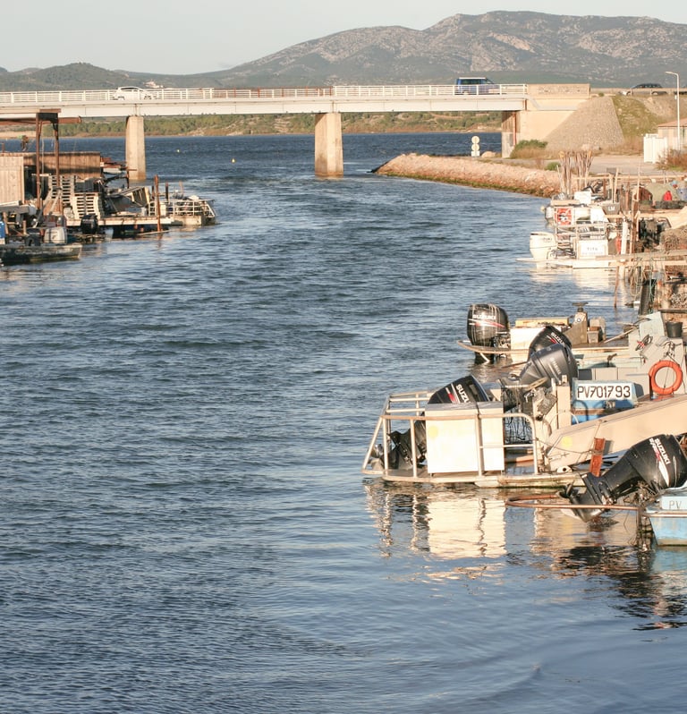 espace cochylincole de Leucate