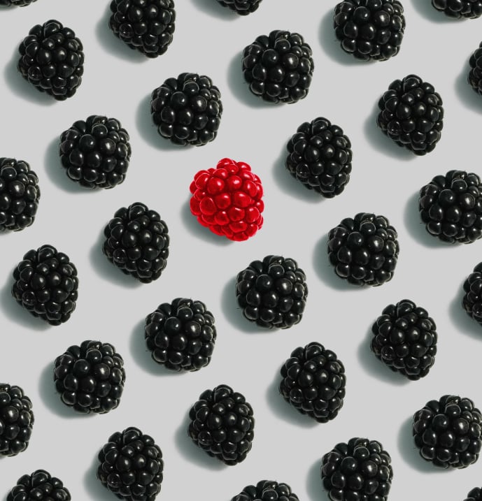 Generación de Leads b2b