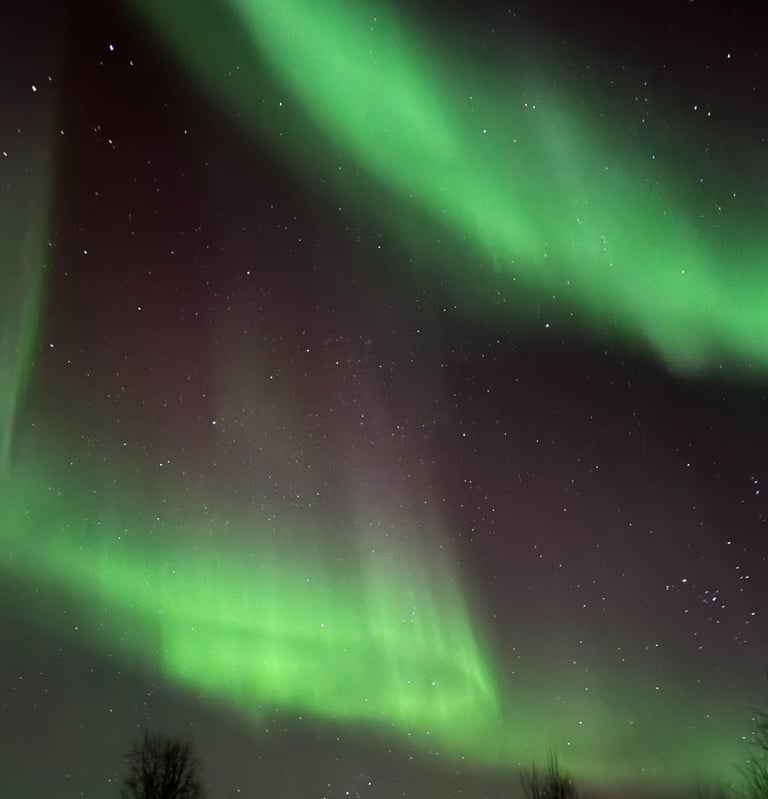 Aurores boréales vertes illuminant le ciel nocturne étoilé au-dessus d'une forêt enneigée en Laponie