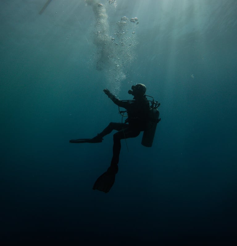 a person in a wetsuit is swimming in the water