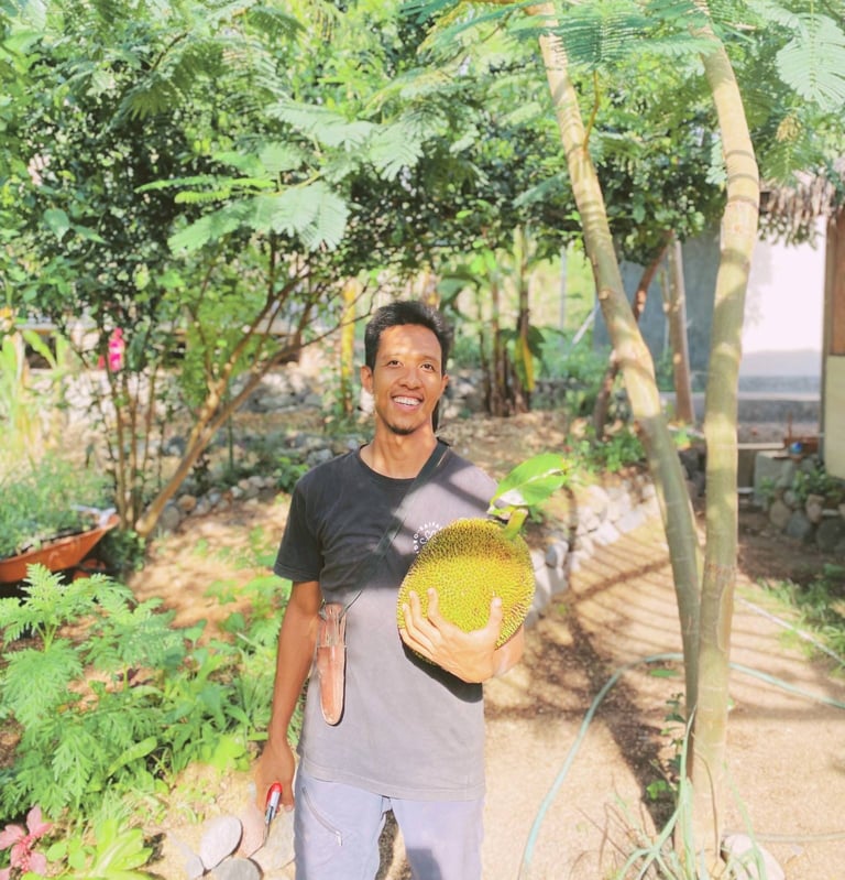 Juliantara smiling while holding a ripe jackfruit in a shaded edible garden at Saifana Organic Farm
