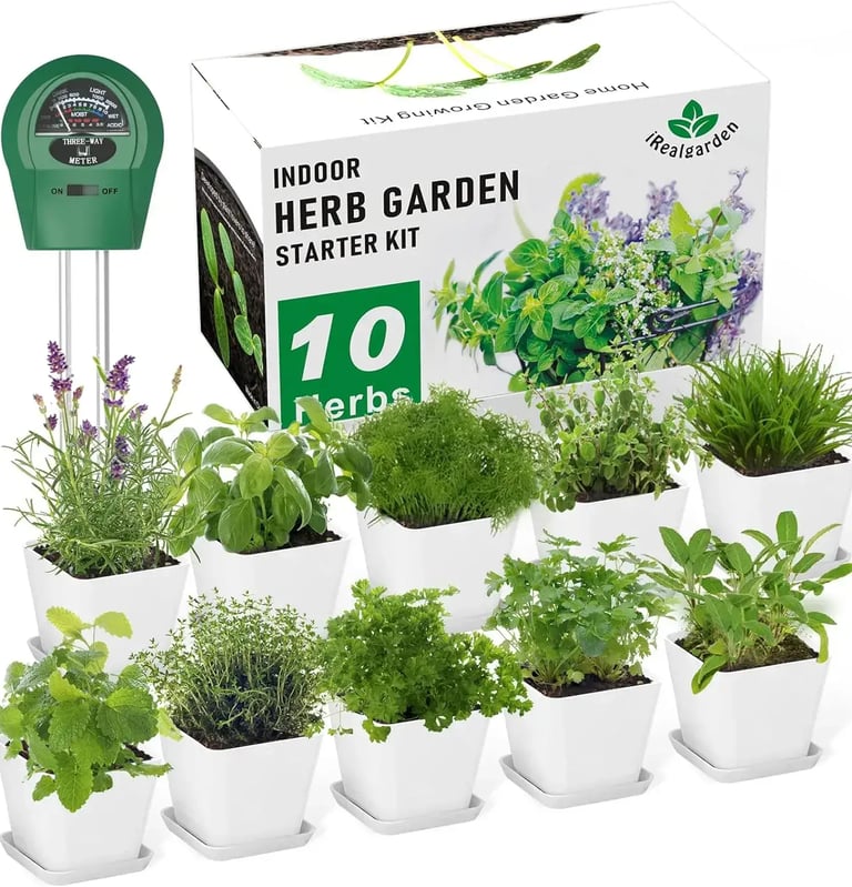 Wall Mount Herb Garden Kit