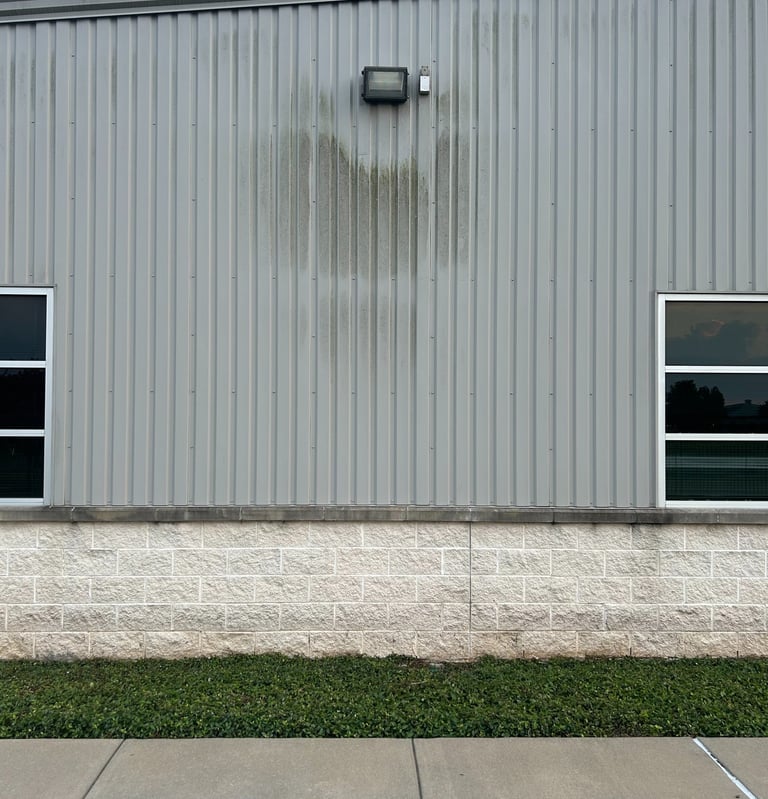 Mold and Mildew on Building
