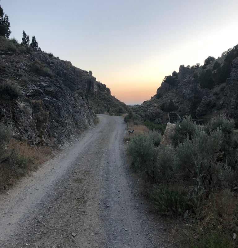 12 Mile Hot Springs Road Nevada