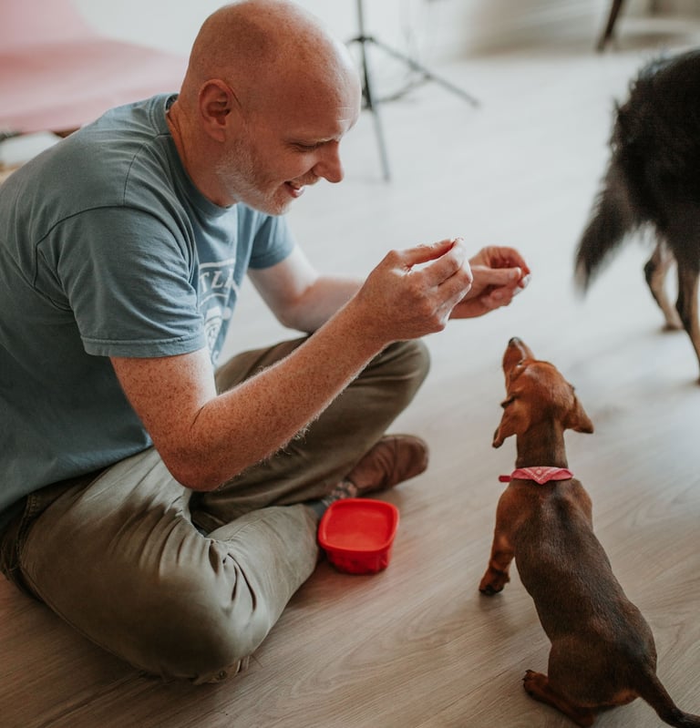 puppies for sale near me