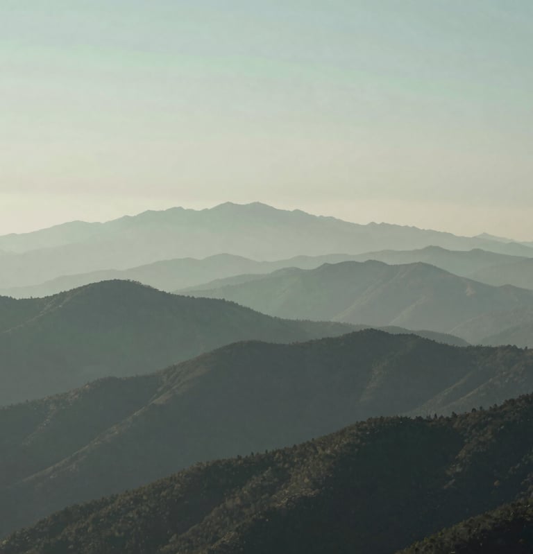 A vertical photograph capturing the layers of a North American mountain range fading into the distance under a foggy sky. Muted tones of sage green and dark slate. Serene and sophisticated minimalist composition.