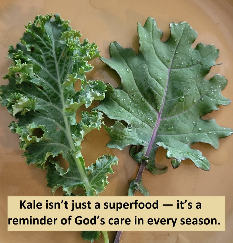 Kale isn’t just a superfood — it’s a reminder of God’s care in every season. 