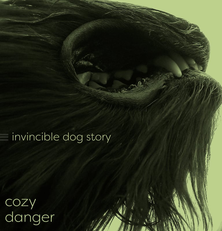 Cozy Danger Invincible Dog Story Album Artwork