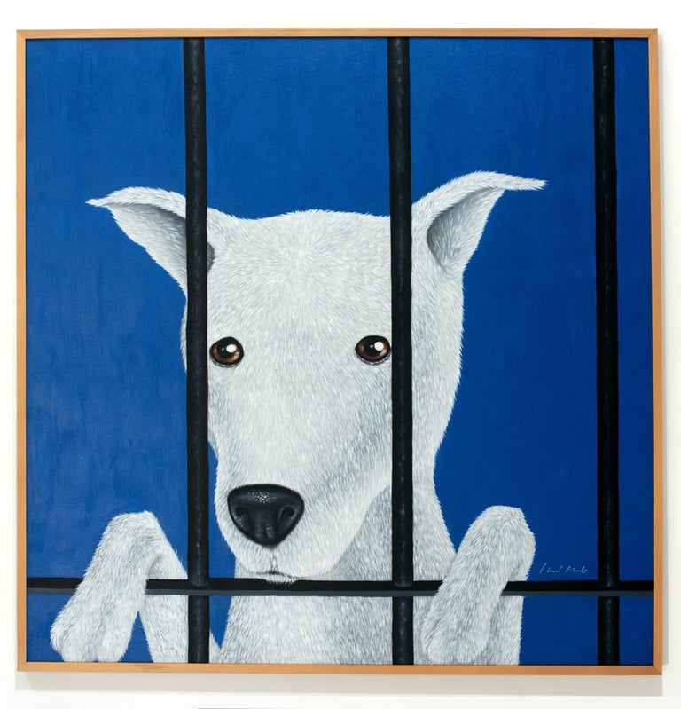 Jail Boy, We are stardust series, 120x120cm