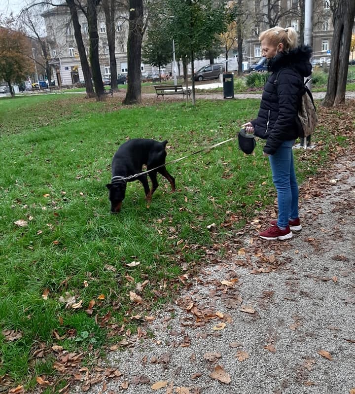 Šetnja pasa, Zagrebački duhek, Ares i Ivana