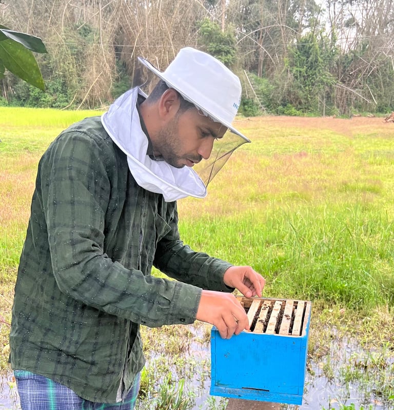 a nilgiris beekeeper in a field with a beehive ,forest background yellow, greens background harvest