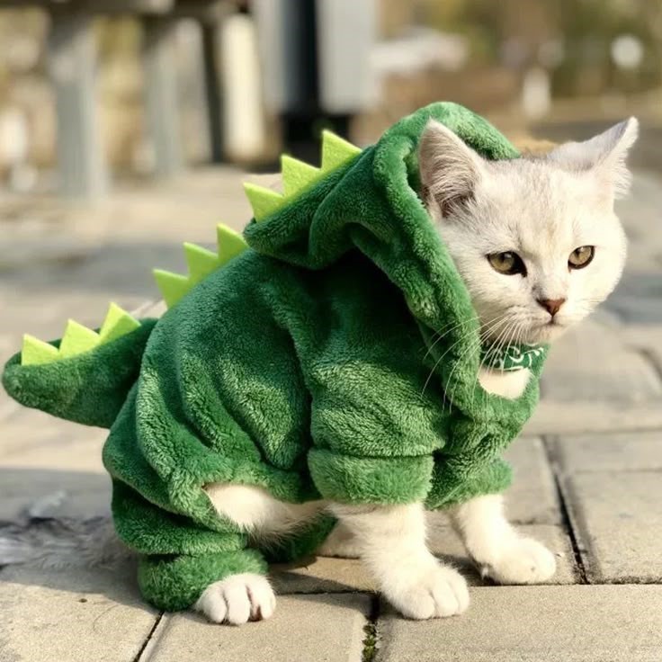 gato blanco con una sudadera con capucha de disfraz de dinosaurio verde
