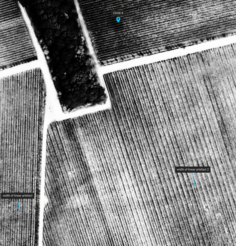 View of a vineyard showing features exposed by using NIR 