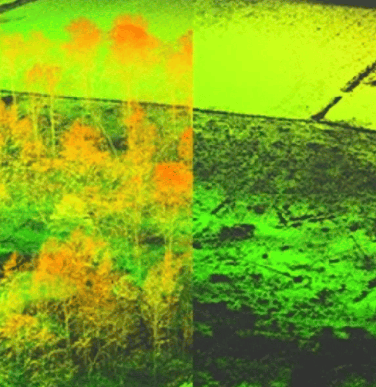 Comparison of LiDAR images showing DTM and DSM, 3D