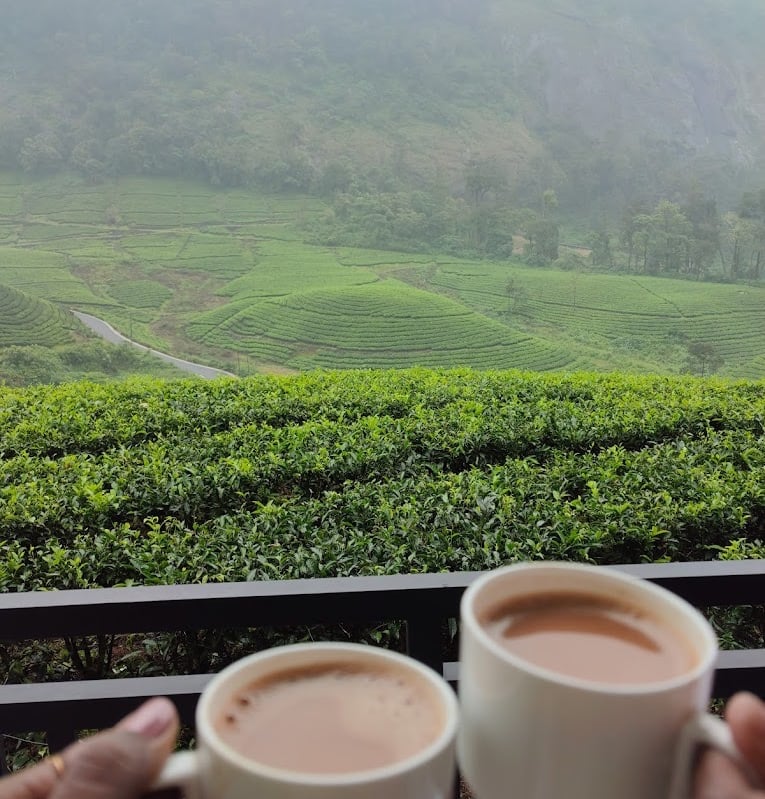 Having coffee at Zero degree jungle resort looking at tea estate.