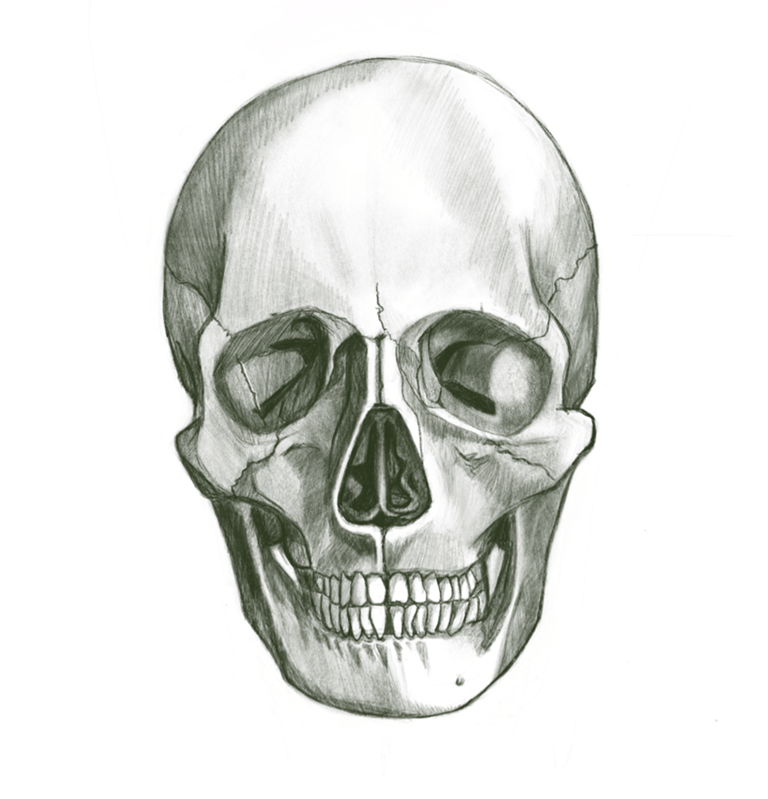 Skull, 2020