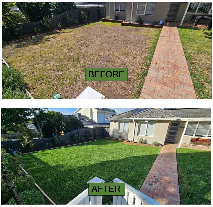 Garden renovation, Landscaping completely newly laid buffalo lawn before & after